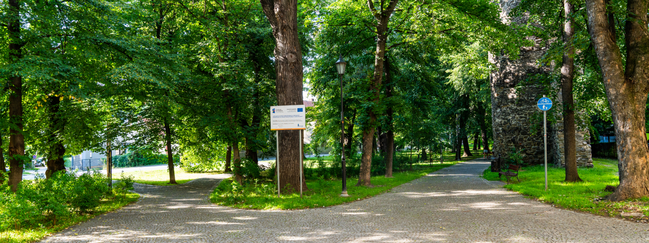 Zabytkowe planty miejskie w Paczkowie